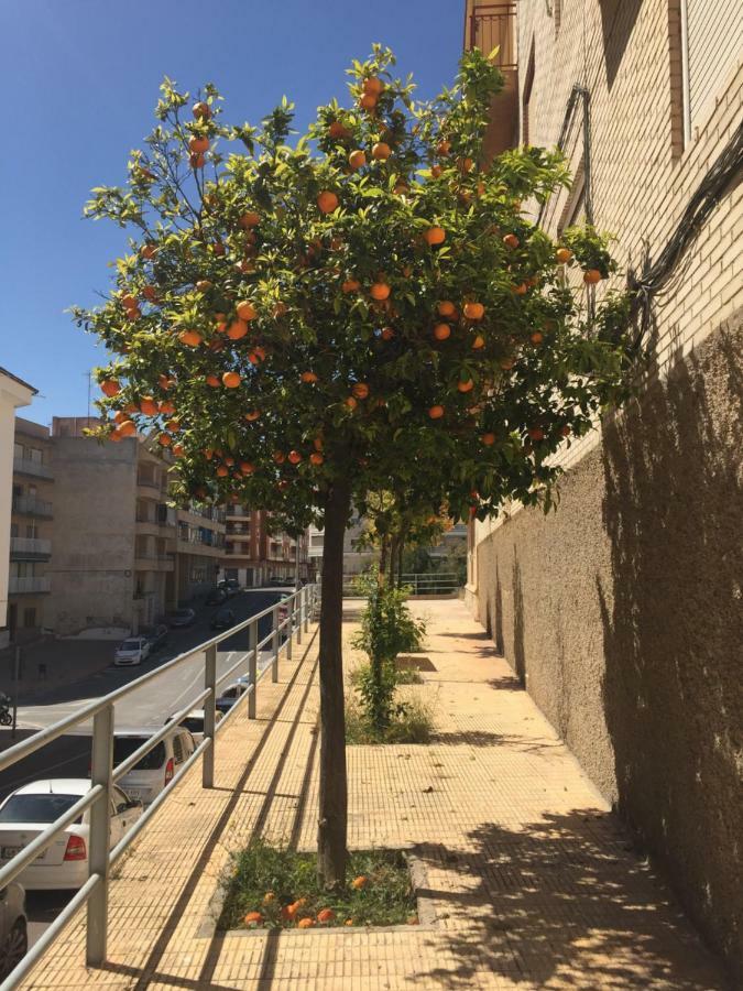 Apartment Sunny Harbour Santa Pola Kültér fotó